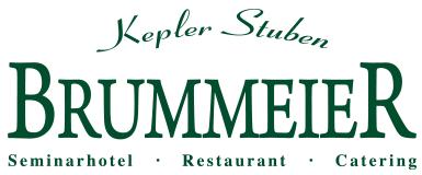 desino-brummeier-logo-e1587229670159